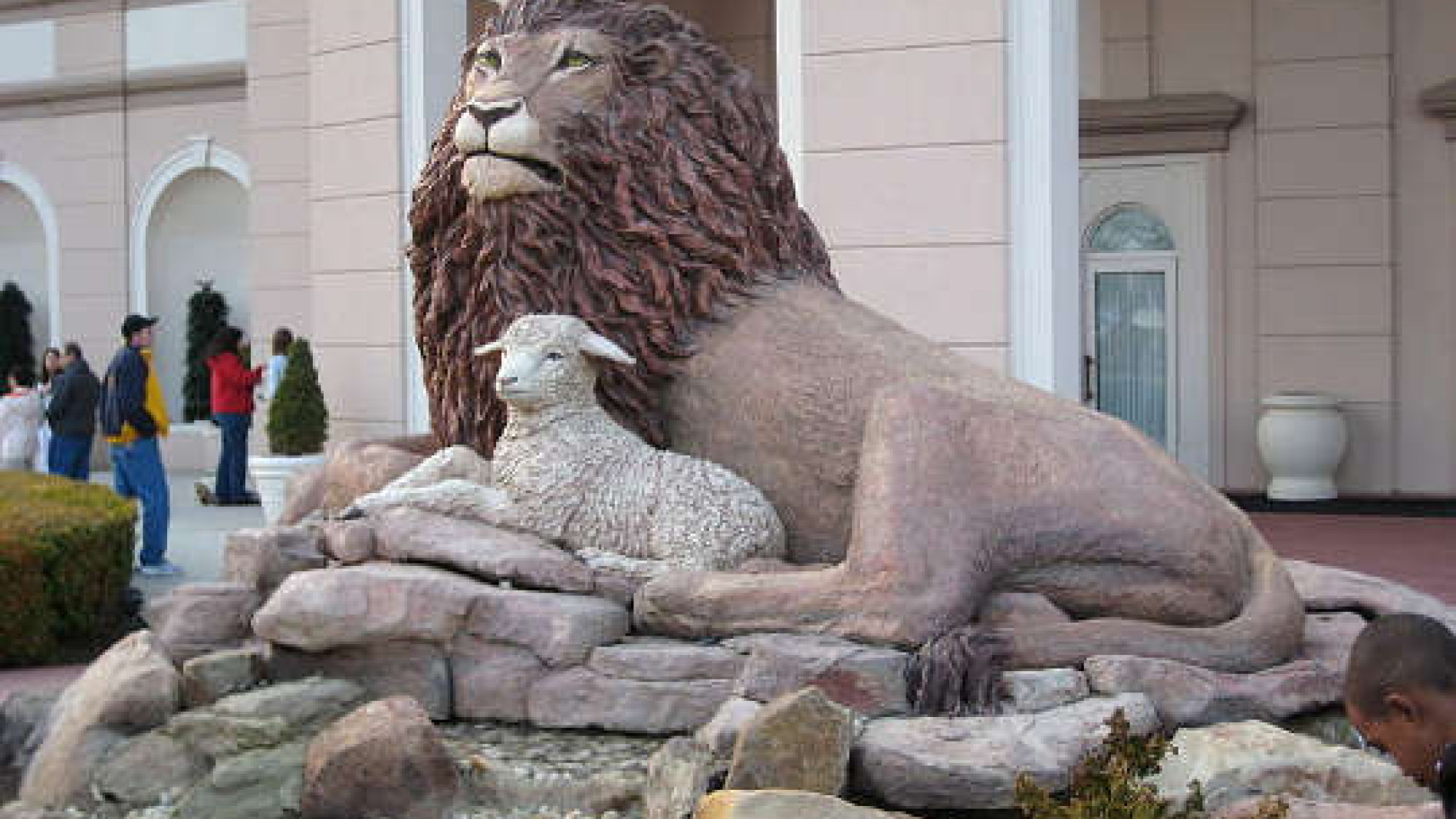 Transforming Perception: From Fear to Harmony